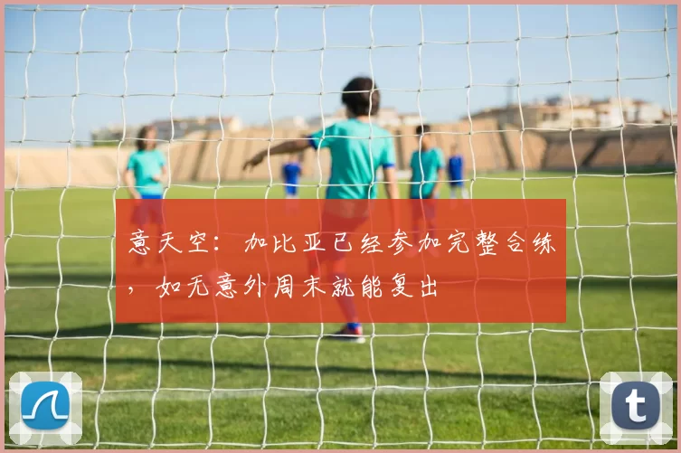 意天空:加比亚已经参加完整合练,如无意外周末就能复出